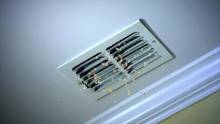 Best Air Duct Cleaning Near Me  in Havelock, NC